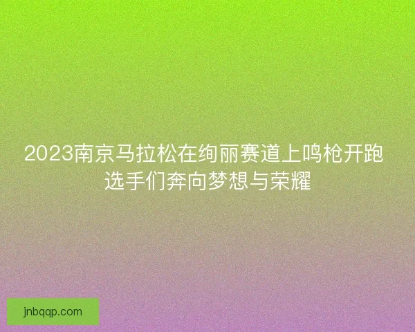 2023南京马拉松在绚丽赛道上鸣枪开跑 选手们奔向梦想与荣耀